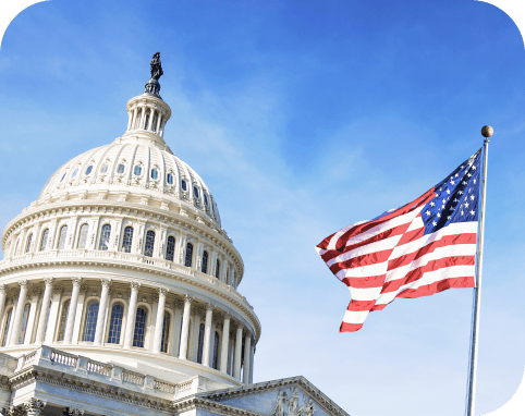 AP United States Government & Politics | Knovva Academy